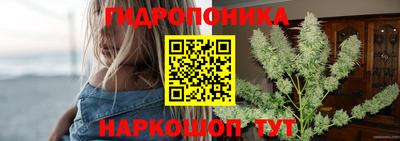 прущие грибы Лесосибирск