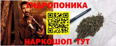 прущие грибы Лесосибирск