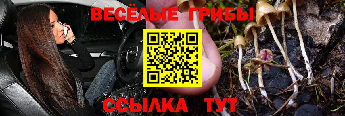 Галлюциногенные грибы мицелий Дмитров