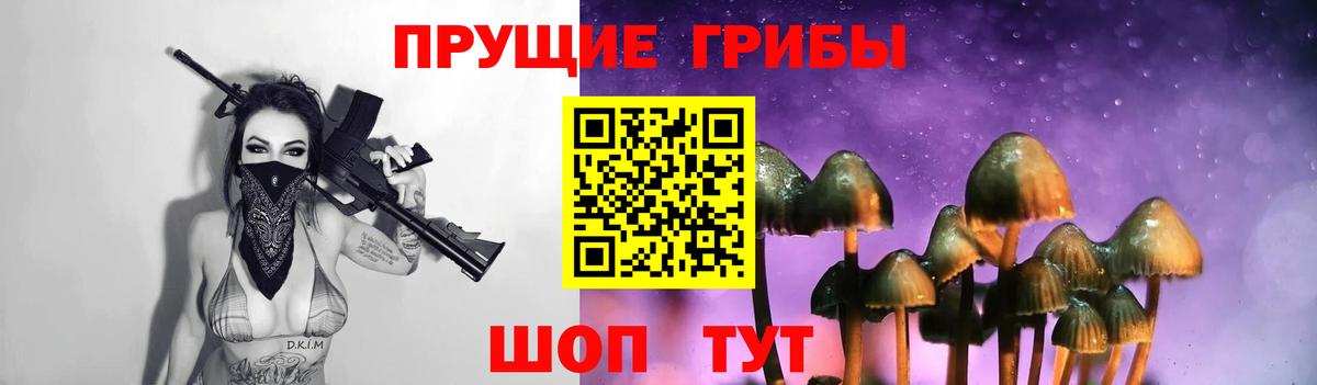 Галлюциногенные грибы Magic Shrooms  Вход с VPN  Дмитров 